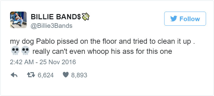 dog-cleans-pee-toilet-paper-Pablo-6 dog-cleans-pee-toilet-paper-Pablo-6