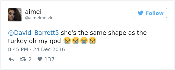 dog-eats-christmas-turkey-bubba-4