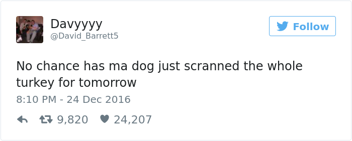 dog-eats-christmas-turkey-bubba-5