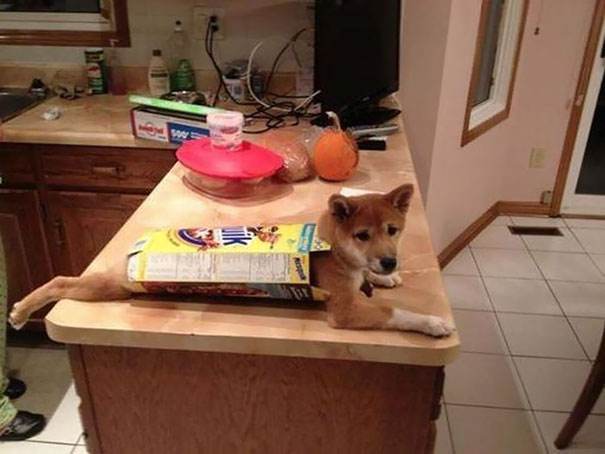 There's Nothing To Look At. Move On