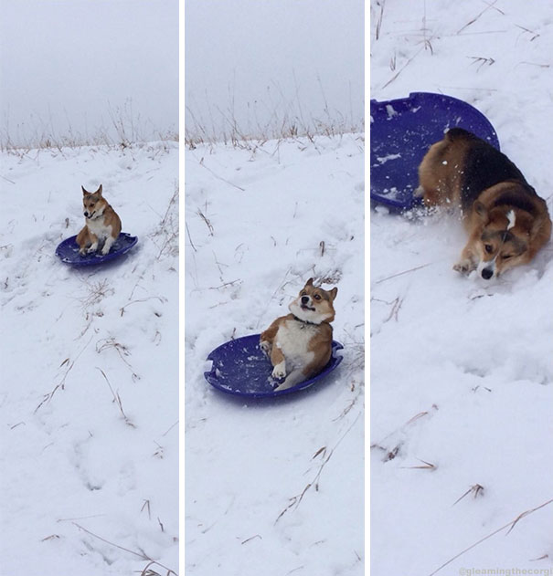 I Immediately Regret This Decision