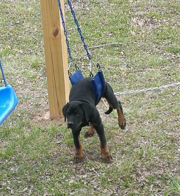 Heard Her Whining And Turned Around To Find This