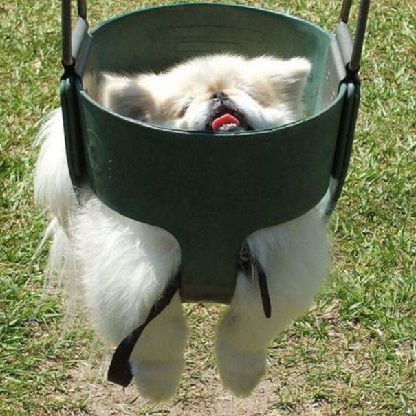 I Think I'm In Over My Head.