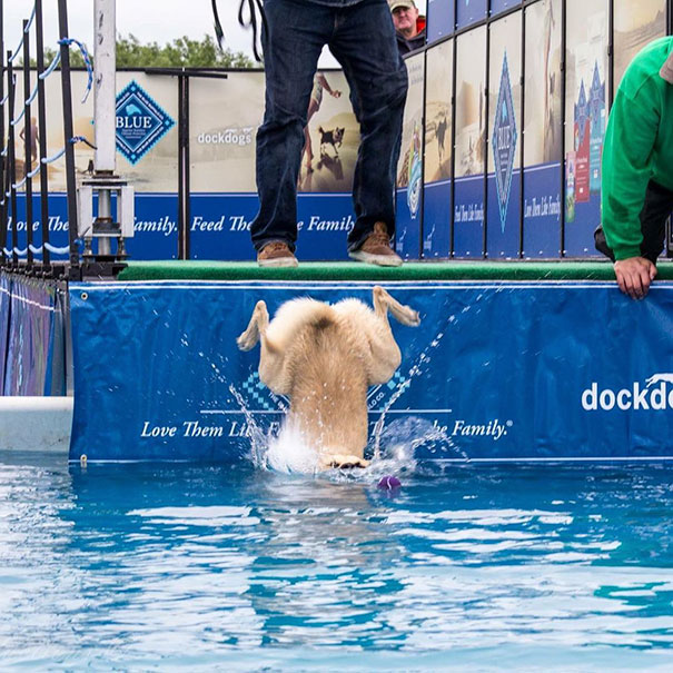 Yes. He Meant To Do That... Kinda!