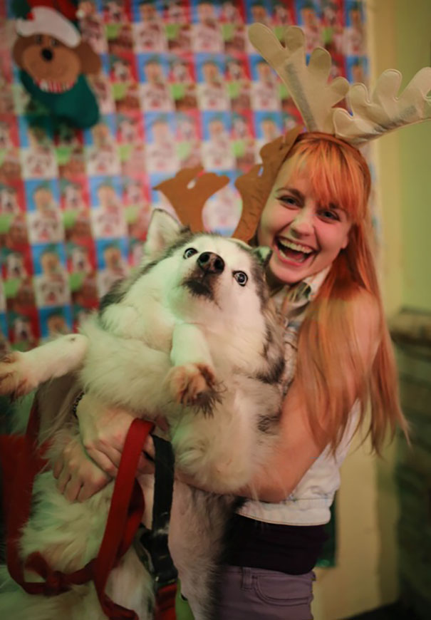 I Tried To Take A Cute Christmas Photo Holding My Dog