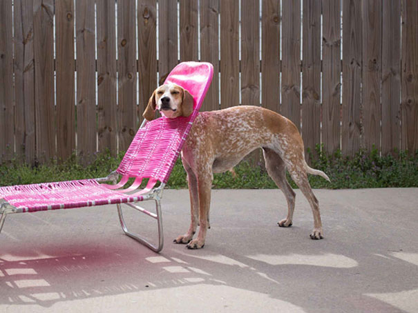 The Pink Look Is Good