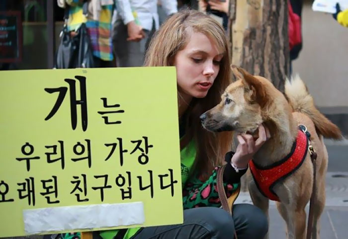dog-meat-market-shut-down-south-korea-2 dog-meat-market-shut-down-south-korea-2