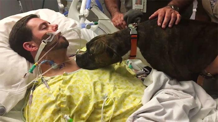 Este perro visitó a su dueño moribundo en el hospital para decirle adiós