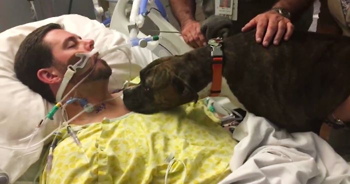 Dog Visits Dying Owner In Hospital To Say The Final Goodbye