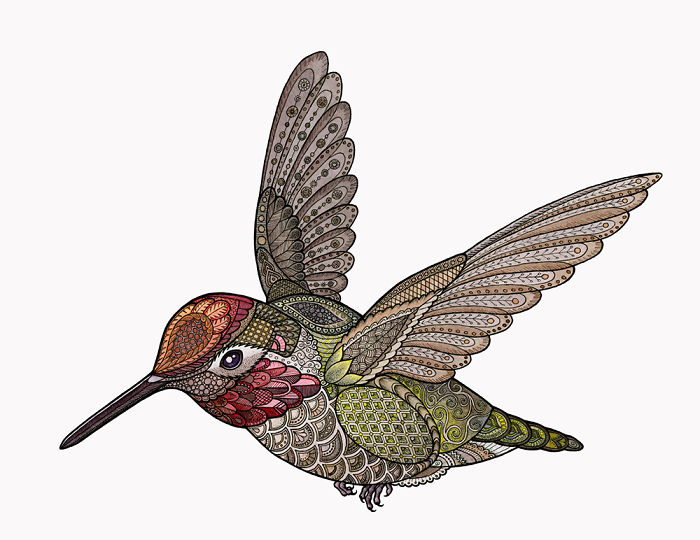 I Draw Intricately Patterned Animals I Draw Intricately Patterned Animals