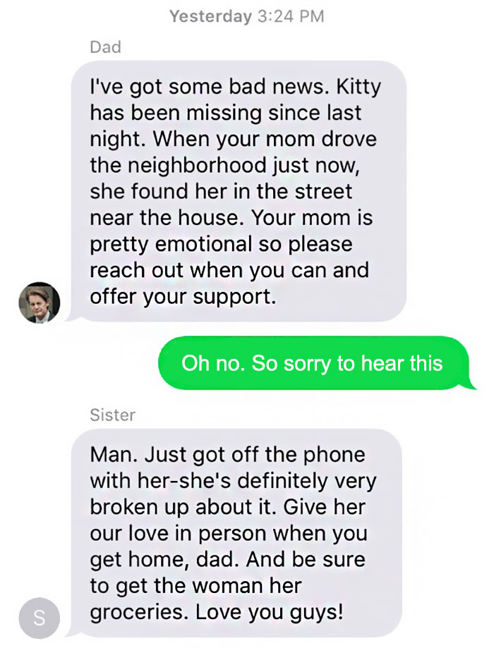 family-text-cat-death-eric-schmidt-8