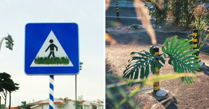 Street Artist Brings Nature Back To Cities