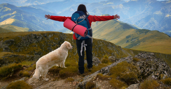 I Travel Romania With My Golden Retriever Geena Who Is The Best Travel Companion