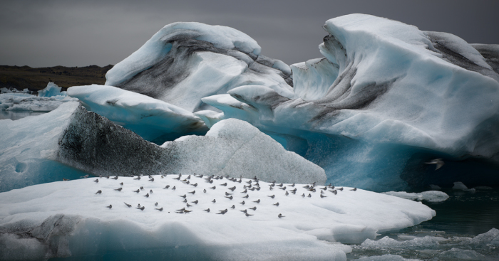 In The Land Of Fire And Ice