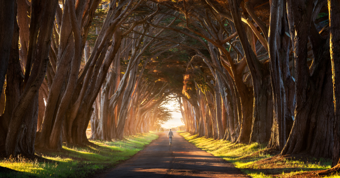 I Just Travelled 24.000km Through North America And Took Home These Incredible Pictures