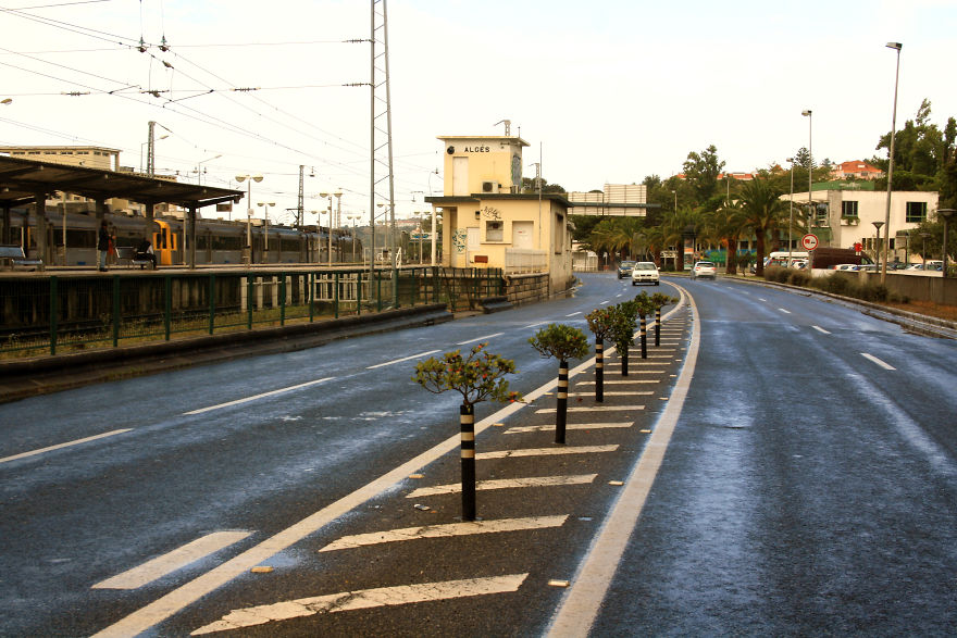 Street Artist Brings Nature Back To Cities