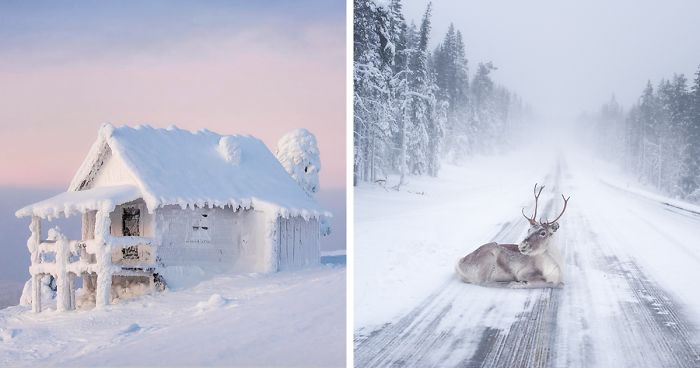 104 Reasons Why Lapland Is The Most Magical Place To Celebrate Christmas