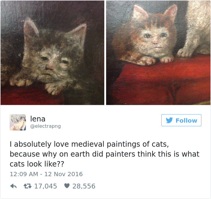 Best Cat Tweets Of 2016