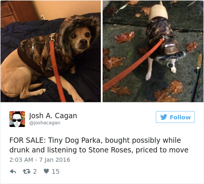 Dog Tweets