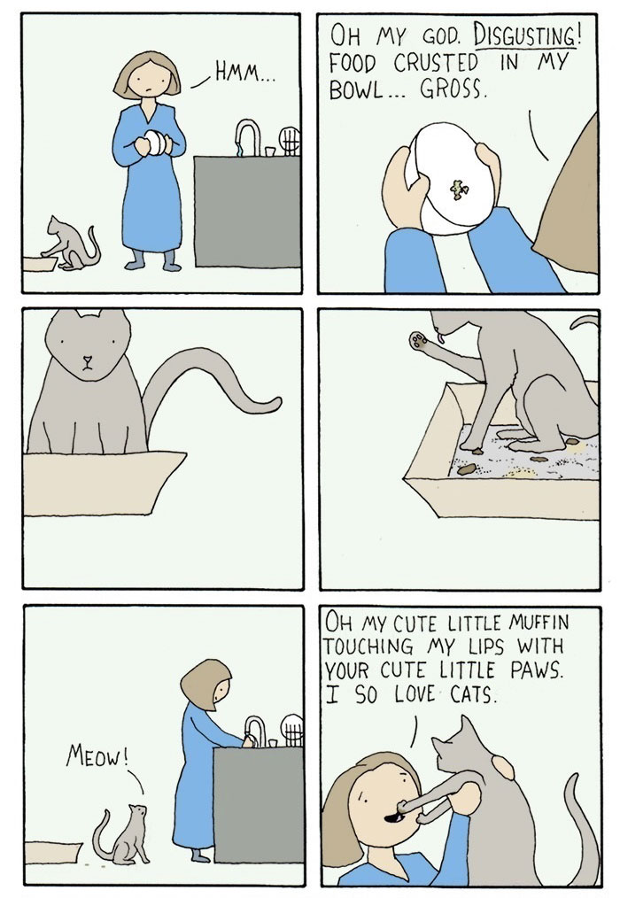 Cat Comics