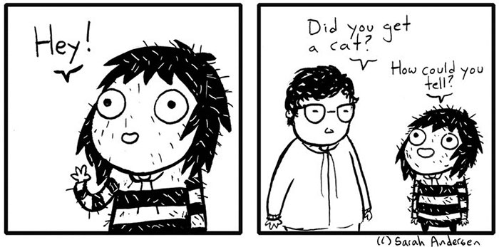 Cat Comics