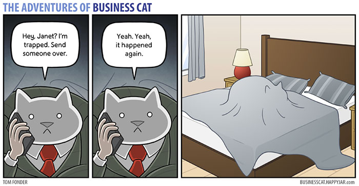 Cat Comics
