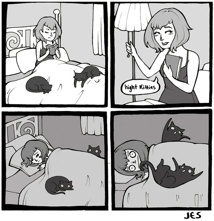 Cat Comics