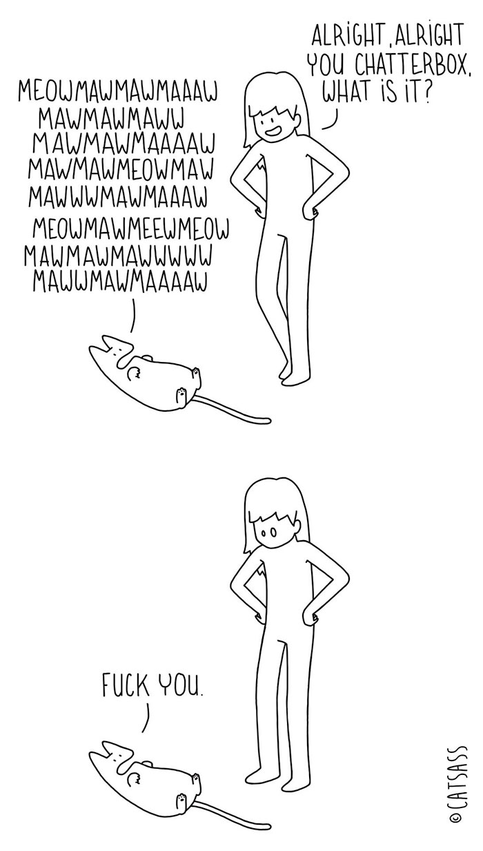 Cat Comics