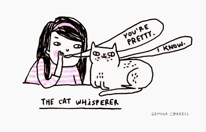Cat Comics
