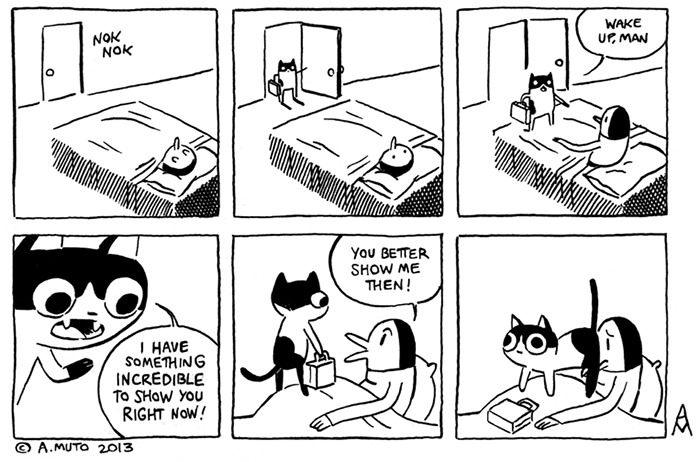 Cat Comics