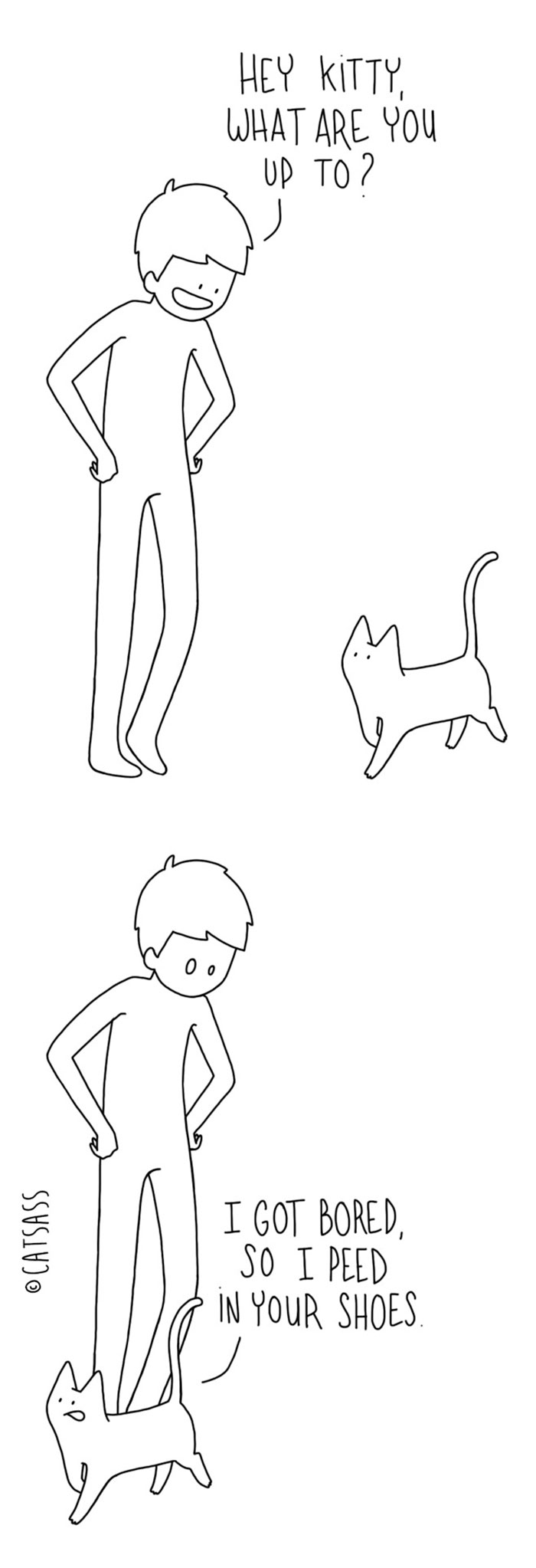 Cat Comics