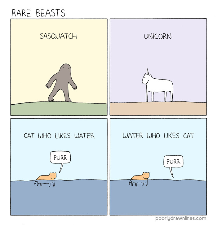 Cat Comics