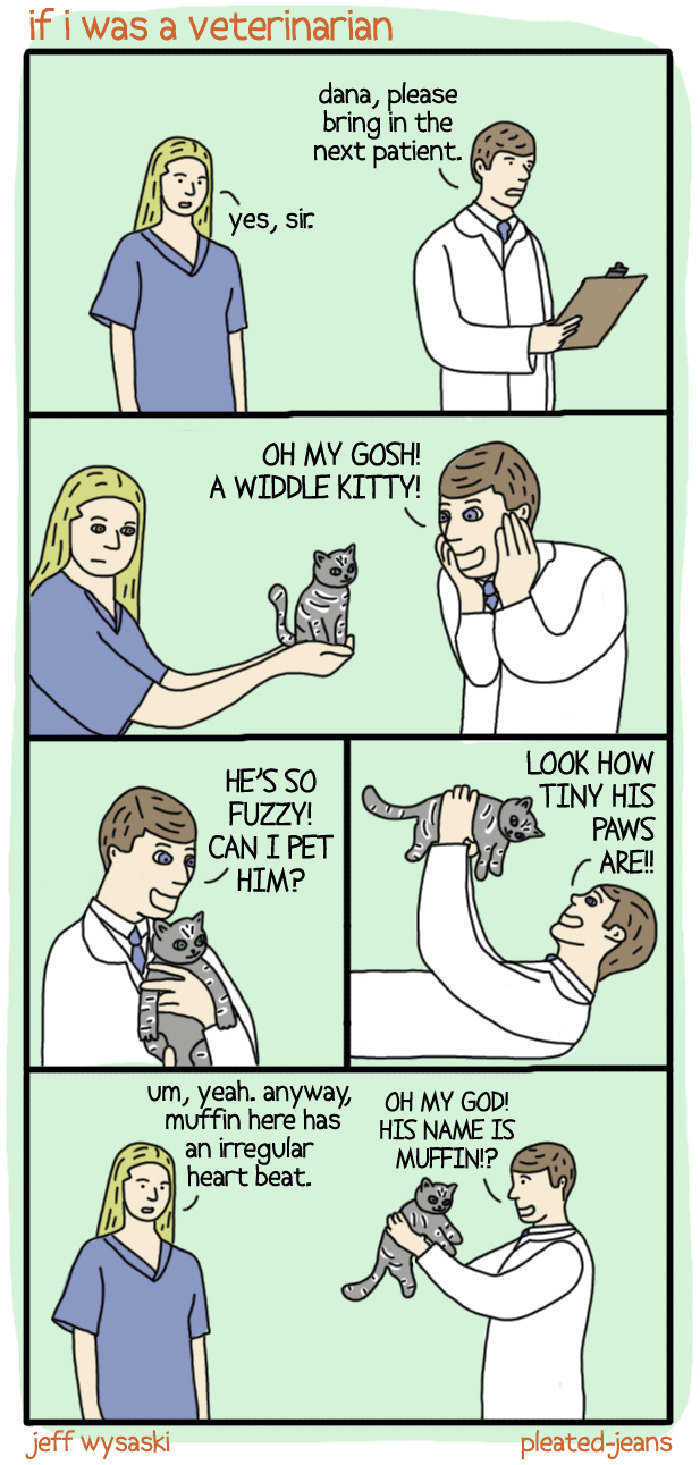 Cat Comics