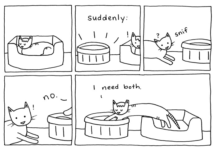 Cat Comics