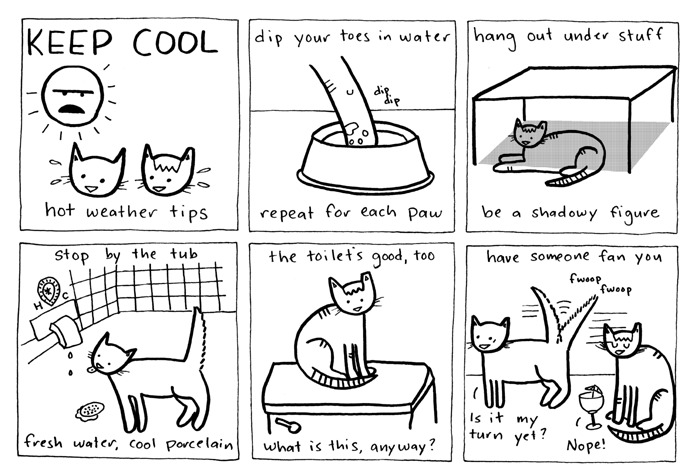 Cat Comics