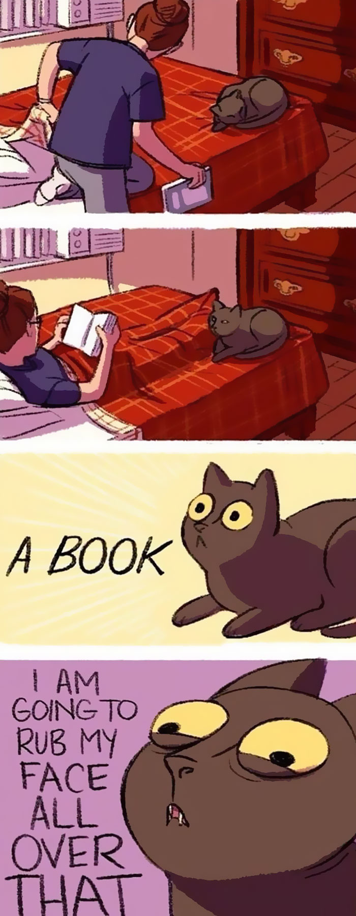 Cat Comics