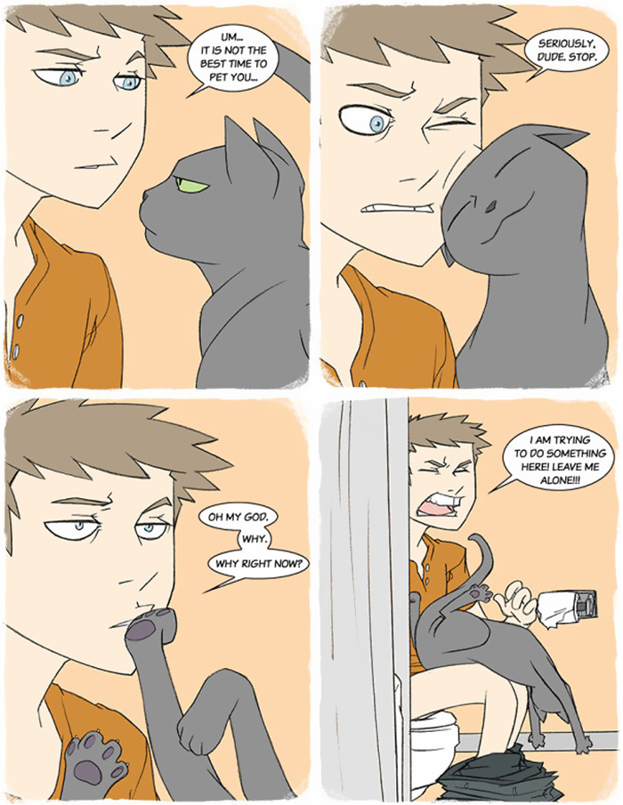 Cat Comics