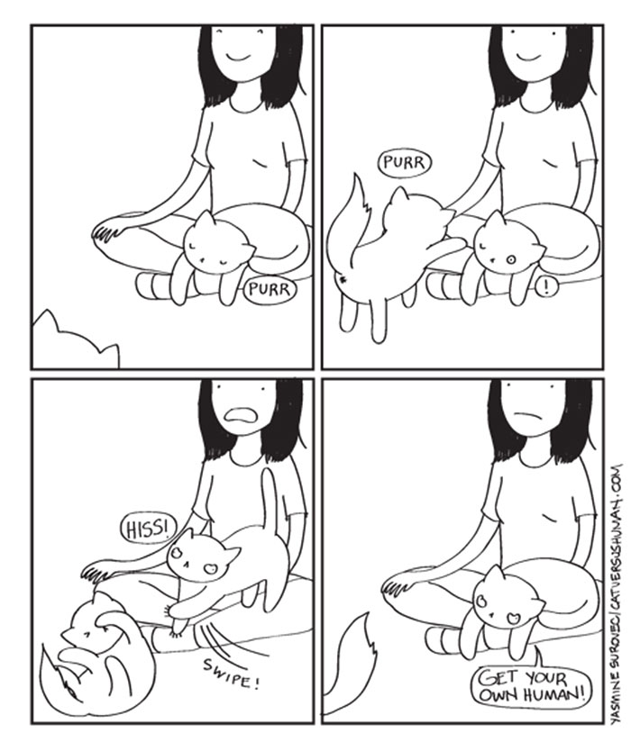 Cat Comics