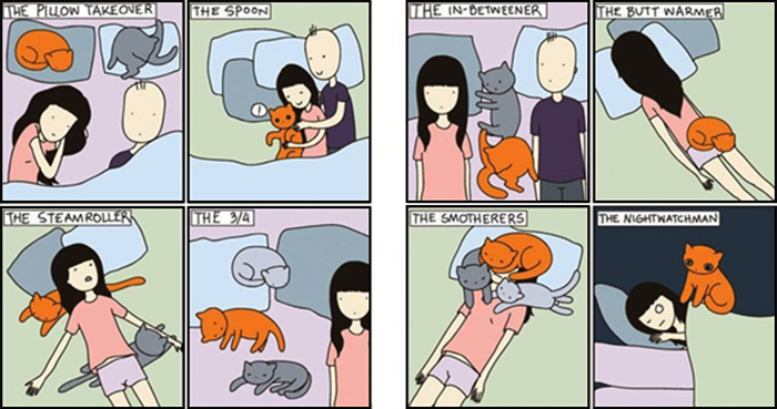 Cat Comics