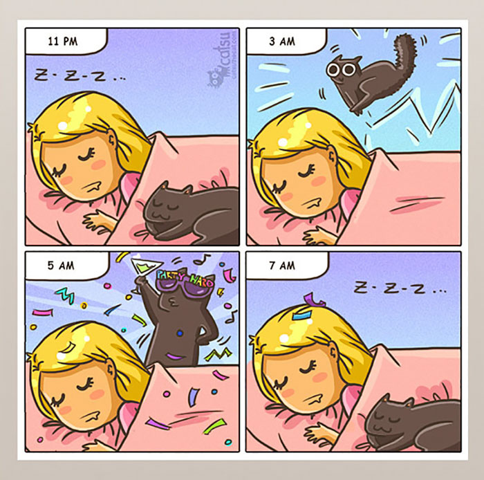 Cat Comics