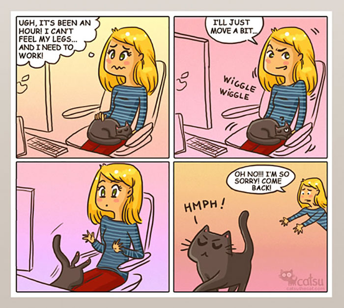 Cat Comics