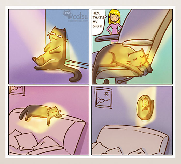 Cat Comics