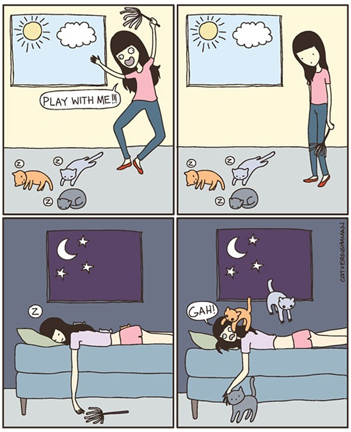 Cat Comics