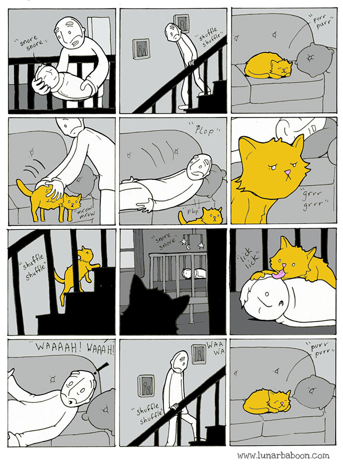 Cat Comics