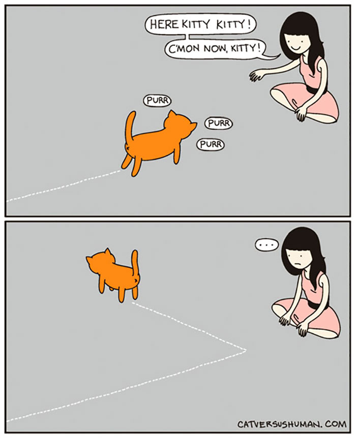 Cat Comics