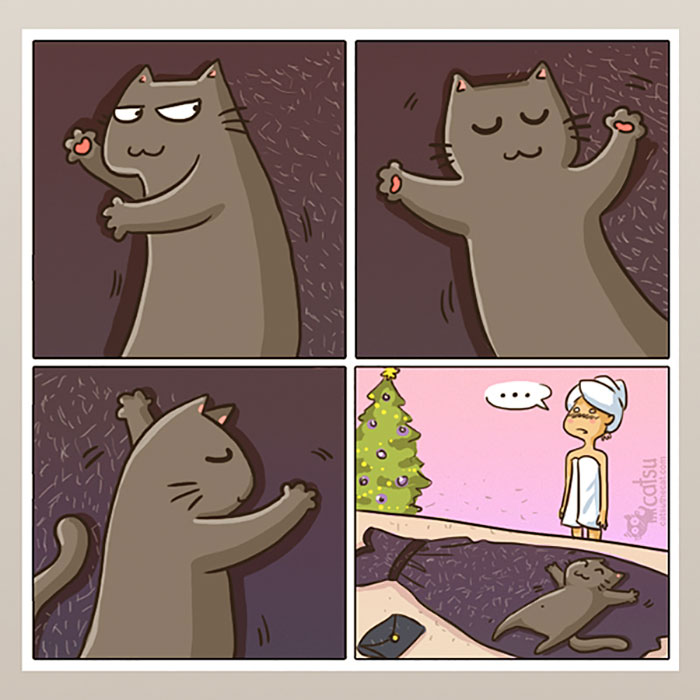 Cat Comics