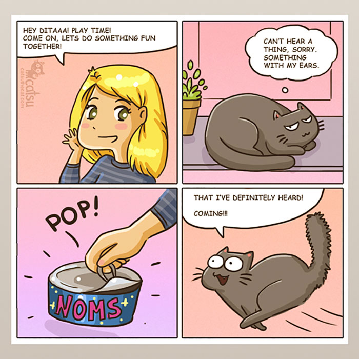 Cat Comics