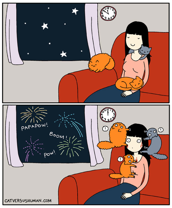 Cat Comics