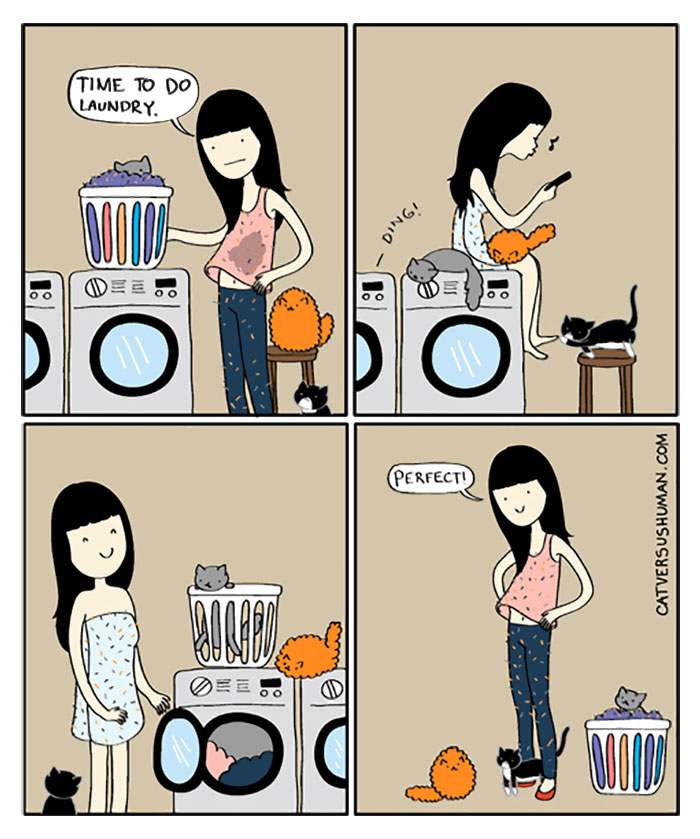 Cat Comics