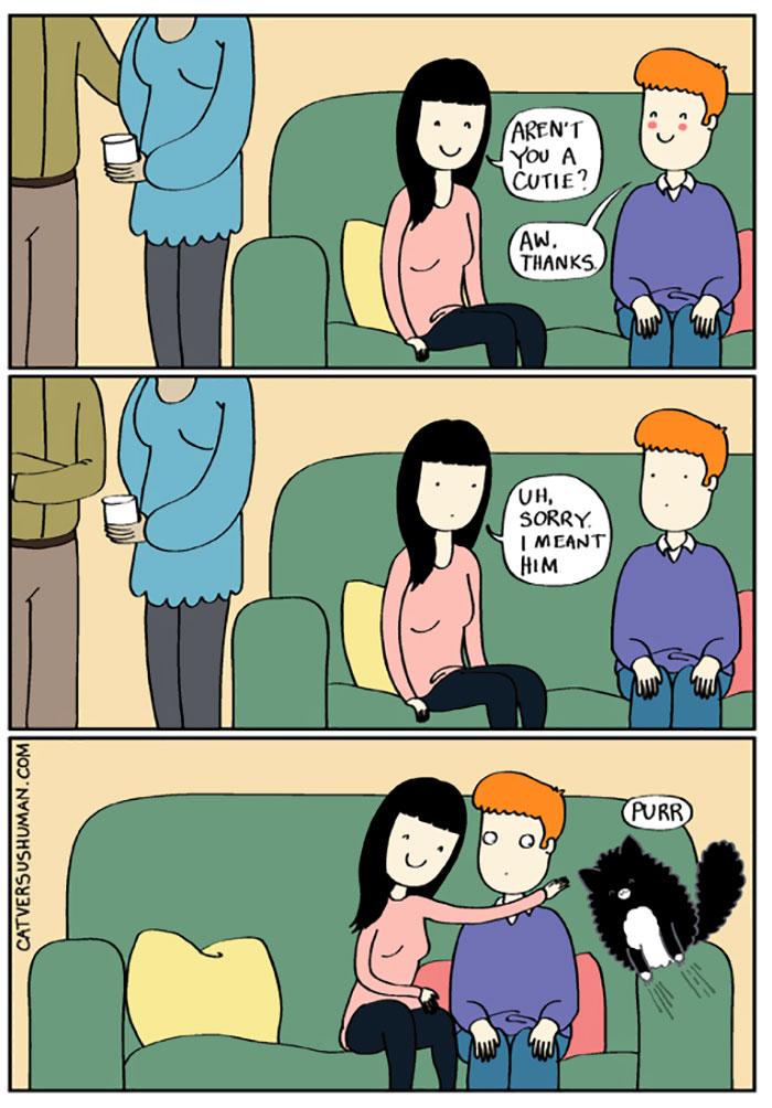 Cat Comics
